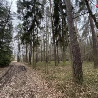 Smazaná nemovitost
