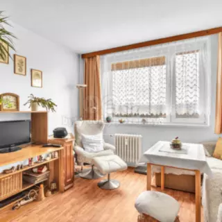 Prodej byty 1+1 35 m²