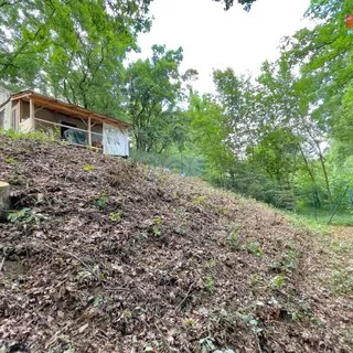 Smazaná nemovitost