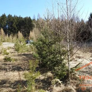 Prodej stavební parcely 1 198 m²