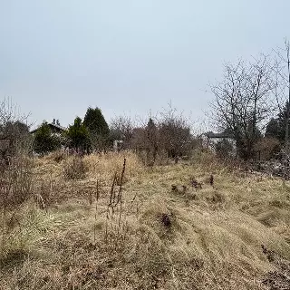 Prodej zahrady 416 m²