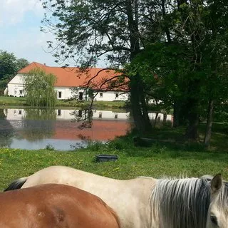 Pronájem byty 3+1 85 m²