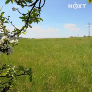 Prodej stavební parcely