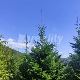 Prodej zemědělská půda