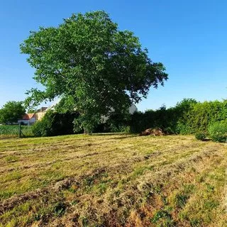 Prodej stavební parcely