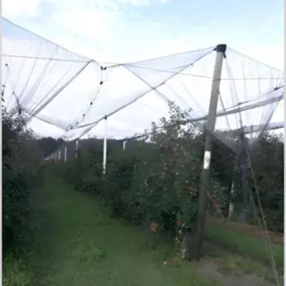 Prodej zemědělská půda