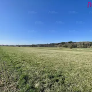 Prodej zemědělská půda