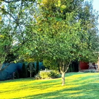 Prodej stavební parcely