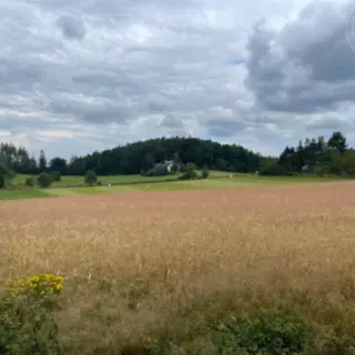 Smazaná nemovitost