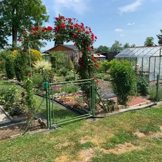 Prodej chaty 431 m²