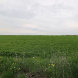 Prodej zemědělská půda