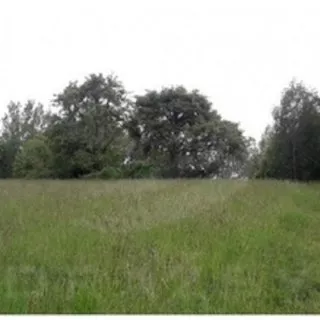 Dražba stavební parcely