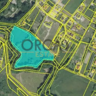 Prodej zemědělská půda 15 699 m²