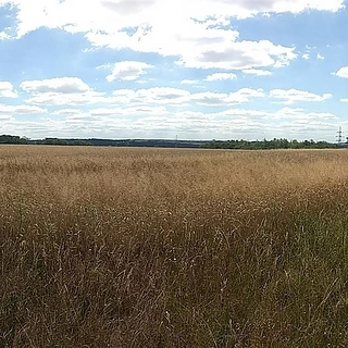 Smazaná nemovitost