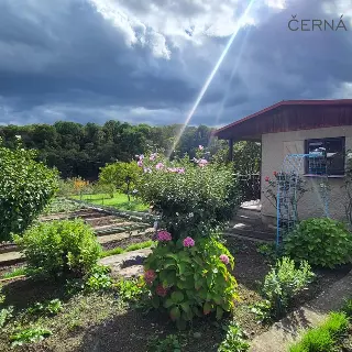 Prodej zahrady 19 m²