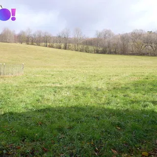 Prodej stavební parcely 1 175 m²