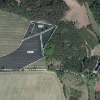 Prodej zemědělská půda