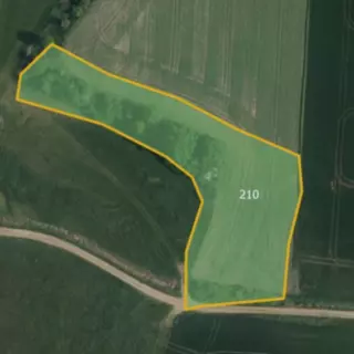 Prodej zemědělská půda