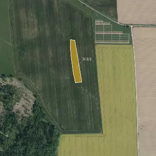 Prodej zemědělská půda