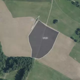 Prodej zemědělská půda