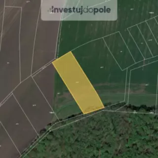 Prodej zemědělská půda