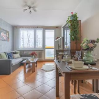 Prodej byty 3+1 56 m²