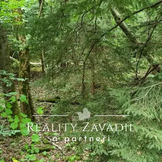 Smazaná nemovitost