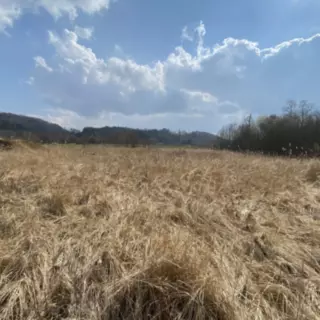 Prodej zemědělská půda