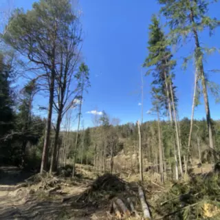 Smazaná nemovitost