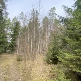 Smazaná nemovitost