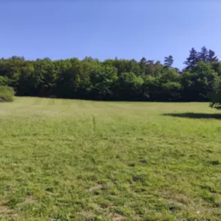 Smazaná nemovitost