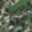 Prodej stavební parcely 700 m² Železná Ruda Alžbětín