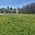 Prodej stavební parcely 3 073 m² Horní Planá