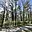 Prodej stavební parcely 1 795 m² Jevany