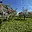 Prodej ostatního pozemku 7 559 m² Horní Újezd