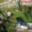 Prodej chalupy 90 m² Karolinka, Okružní