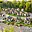 Prodej chaty 32 m² Nýdek