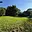 Prodej stavební parcely 2 500 m² Dolní Lutyně
