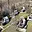 Prodej chaty 56 m² Rajnochovice