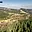 Prodej lesa 47 046 m² Bílá