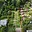 Prodej stavební parcely 1 609 m² Karviná Ráj