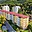 Prodej bytu 3+1 60 m² Vsetín, Stará cesta