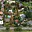Prodej chaty 80 m² Mostkovice