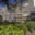 Prodej bytu 3+1 70 m² Teplice Trnovany, Trnovanská
