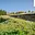 Prodej stavební parcely 977 m² Suchý Důl