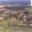 Prodej stavební parcely 1 500 m² Včelnička