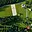 Prodej stavební parcely 2 023 m² Nejdek