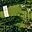 Prodej stavební parcely 2 016 m² Nejdek