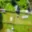 Prodej stavební parcely 1 815 m² Prodašice