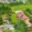 Prodej rodinného domu 221 m² Mokrovousy